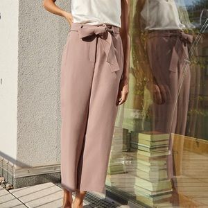 Aritzia Wilfred Trouser
